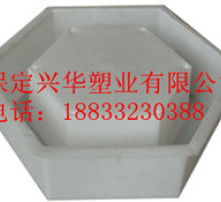 高清圖片